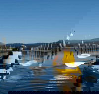 Batemans Bay Oyster Tasting Kayak Tour - Attractions Perth