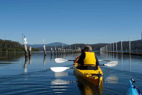 Batemans Bay Oyster Tasting Kayak Tour - Attractions Perth 7