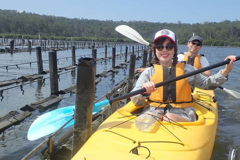 Batemans Bay Oyster Tasting Kayak Tour - Attractions Perth 5
