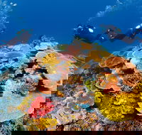 Agincourt Reef - Attractions Perth