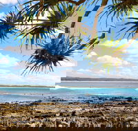 Arrawarra-Corindi Beach - Attractions Perth