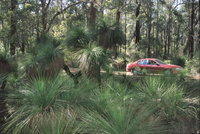 Bridgetown Jarrah Park