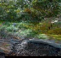 Browns Forest Loop Trail - Attractions Perth