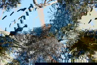 Castle Creek Reserve