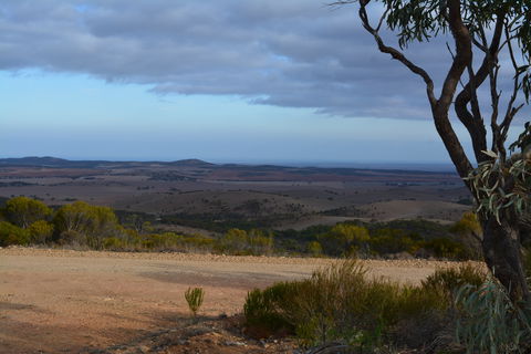 Cleve Hills Scenic Drive & Lookout - Attractions Perth 1