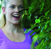 Coffs Harbour Butterfly House - Attractions Perth