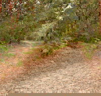 Daleys Point Walking Track - Attractions Perth