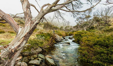 Dead Horse Gap Walking Track - Attractions Perth 0