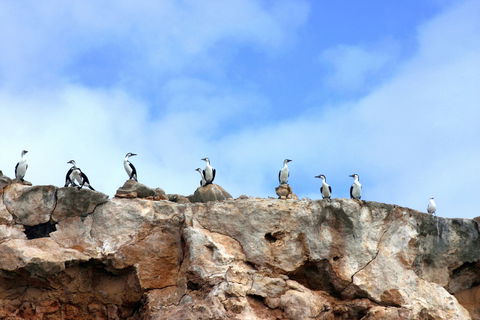 Dirk Hartog Island National Park - Attractions Perth 0