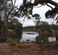 Duck Lagoon - Attractions Perth
