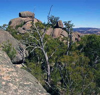 Evans Crown Nature Reserve - Attractions Perth