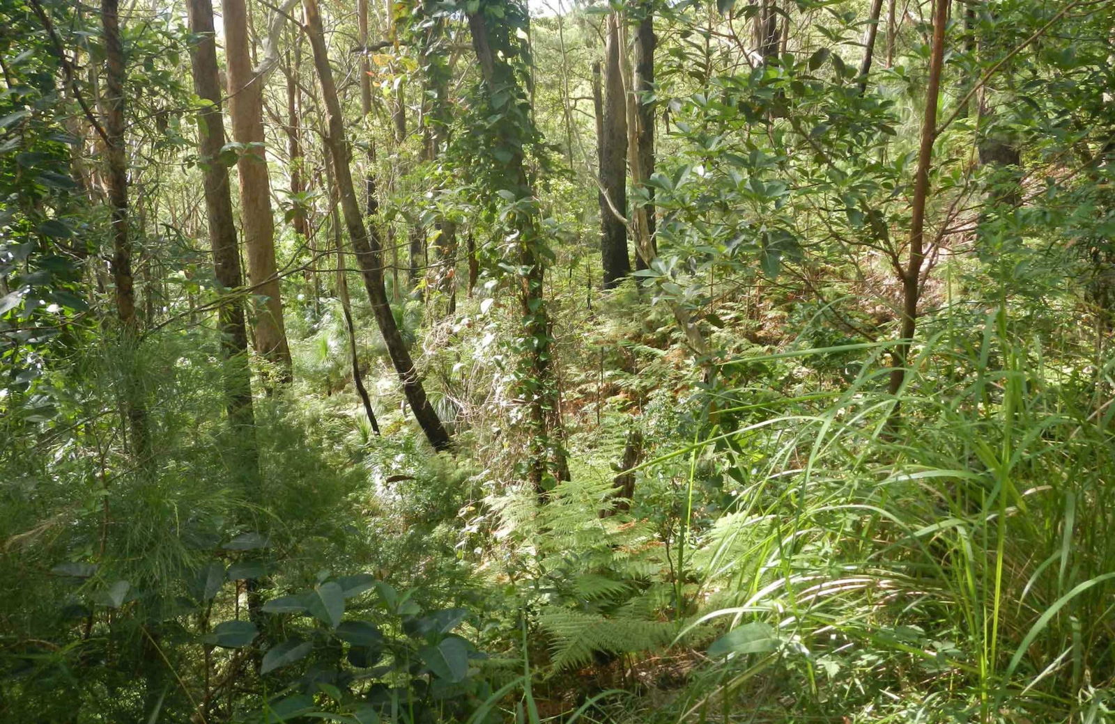 Arakoon NSW Attractions Perth