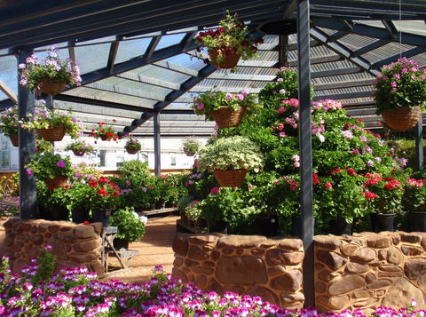 Geelong Botanic Gardens - Attractions Perth 1