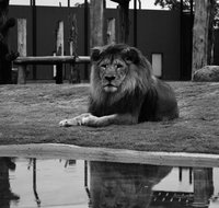 Hunter Valley Zoo - Attractions Perth