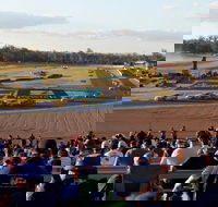Ipswich Motorsport Precinct - Attractions Perth