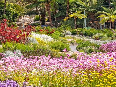 Jurassic Garden AR Experience - Attractions Perth 0