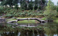 Kayaking Upper Tuross River and Bumbo Lake