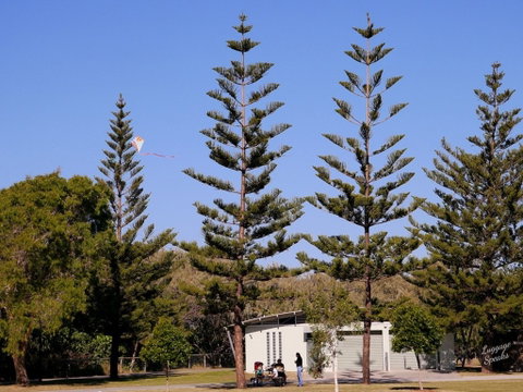 Kurrawa Park - Attractions Perth 0