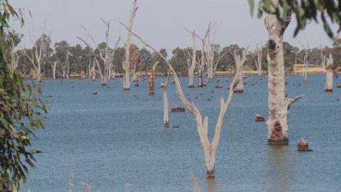 Lake Mulwala - Attractions Perth 2