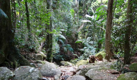 Lyrebird Track - Attractions Perth 0
