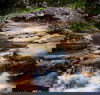 Mothar Mountain Rockpools - Attractions Perth