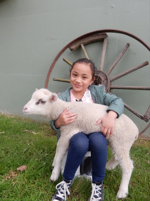 Myuna Farm - Attractions Perth 0