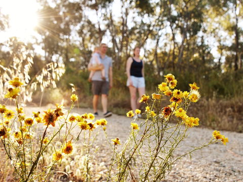 Nail Can Hill - Attractions Perth 0