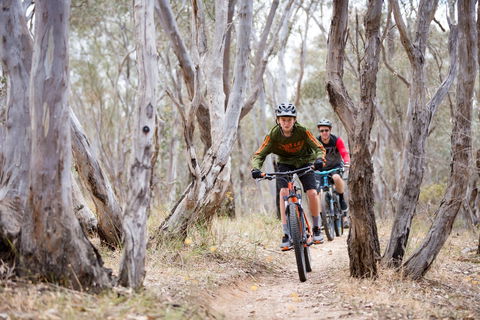 Nail Can Hill - Attractions Perth 1