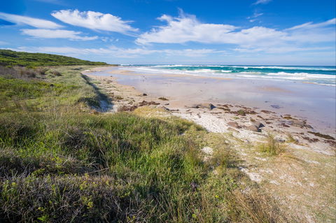 Racecourse Beach: Bawley Point - Attractions Perth 0