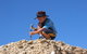 Richmond Fossil Hunting Sites - thumb 0
