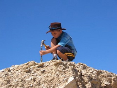 Richmond Fossil Hunting Sites - Attractions Perth 0