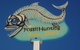 Richmond Fossil Hunting Sites - thumb 1
