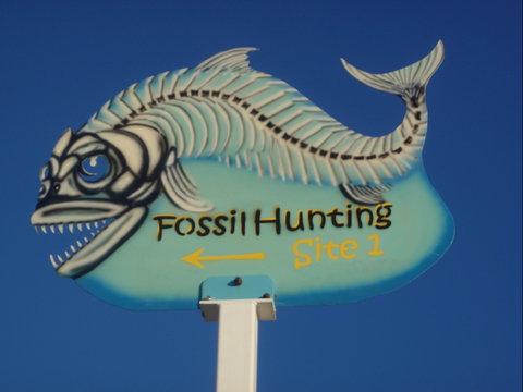 Richmond Fossil Hunting Sites - Attractions Perth 1