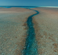Rowley Shoals - Attractions Perth