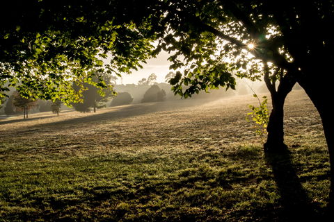 Ruffey Lake Park - Attractions Perth 0