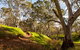 Shepherds Hill Recreation Park - thumb 1