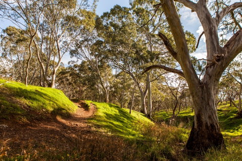 Shepherds Hill Recreation Park - Attractions Perth 1