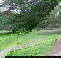 St Albans Reserve - Attractions Perth
