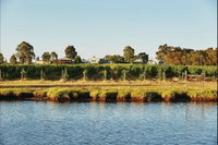 Swan Valley Food and Wine Drive Trail