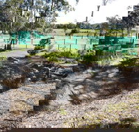 Tactical Paintball Games - Attractions Perth