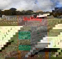 The Wallaby Track - Attractions Perth