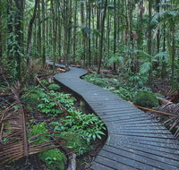 The Channon Protesters Falls Nimbin and Mount Nardi - Attractions Perth