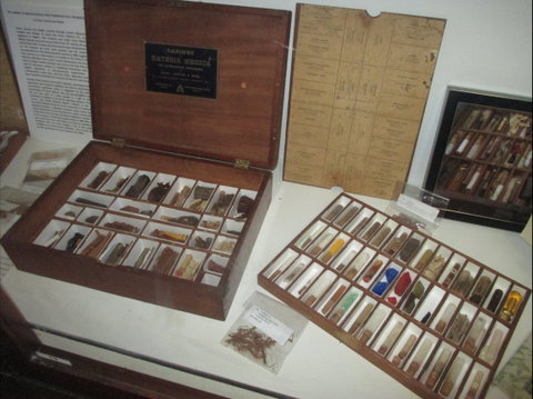 UQ Marks-Hirschfeld Museum Of Medical History - Attractions Perth 0