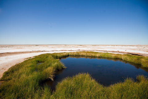 Wabma Kadarbu Mound Springs Conservation Park - Attractions Perth 0