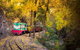 Walhalla Goldfields Railway - thumb 2