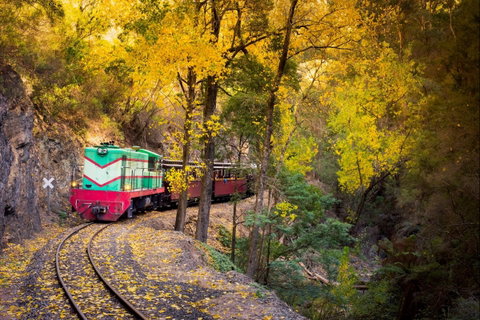 Walhalla Goldfields Railway - Attractions Perth 2