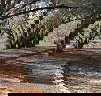 Warrego Floodplain walking track - Attractions Perth