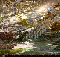 Wendy Whiteley's Secret Garden - Attractions Perth