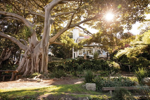 Wendy Whiteley's Secret Garden - Attractions Perth 0