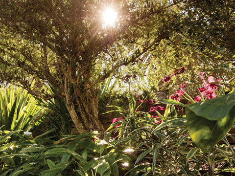 Wendy Whiteley's Secret Garden - Attractions Perth 1